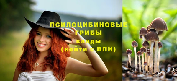 дмт Аркадак