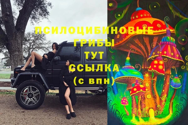 дмт Аркадак