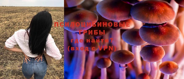 мдпв Армянск