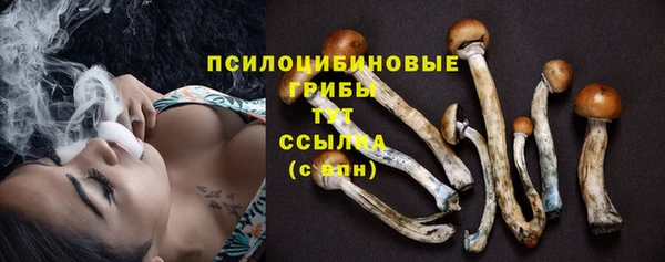 дмт Аркадак